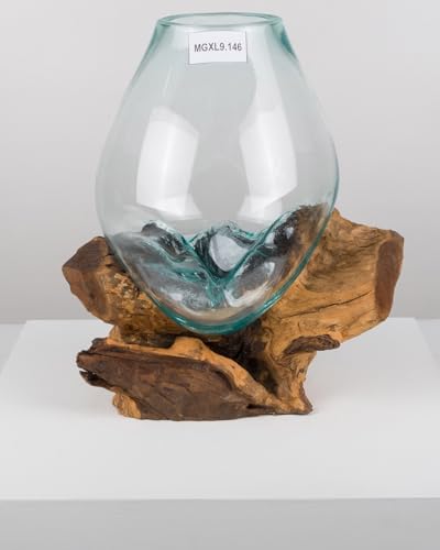 wohnfreuden Teak Holz Deko Wurzel mit Glas Gr. XL 45-55 cm von wohnfreuden