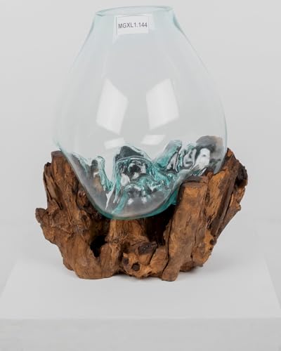 wohnfreuden Teak Holz Deko Wurzel mit Glas Gr. XL 45-55 cm von wohnfreuden