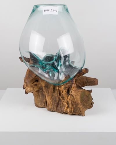wohnfreuden Teak Holz Deko Wurzel mit Glas Gr. XL 45-55 cm von wohnfreuden