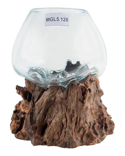 wohnfreuden Teak Wurzel mit Glas Gr. L ca. 30-40 cm Teak Holz Wurzel Vase von wohnfreuden