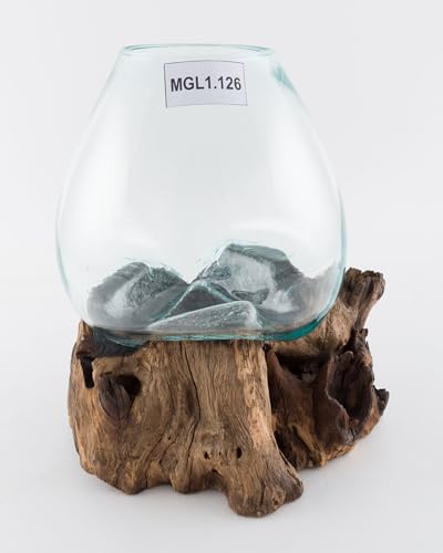 wohnfreuden Teak Wurzel mit Glas Gr. L ca. 30-40 cm Teak Holz Wurzel Vase von wohnfreuden