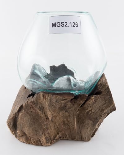 wohnfreuden Teakholz Deko Wurzel mit Glas Vase Gr. S 20-30 cm Teakwurzel von wohnfreuden