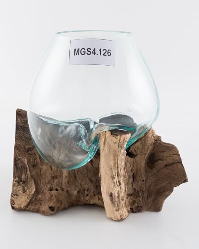 wohnfreuden Teakholz Deko Wurzel mit Glas Vase Gr. S 20-30 cm Teakwurzel von wohnfreuden