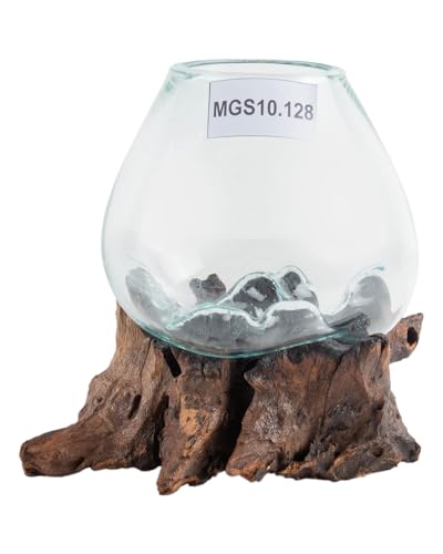wohnfreuden Teakholz Deko Wurzel mit Glas Vase Gr. S 20-30 cm Teakwurzel von wohnfreuden