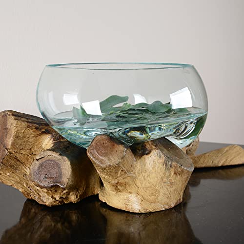 wohnfreuden Teakholz Wurzel mit Glas-Vase 25-35 cm - Holzwurzel mit Glas Wohnzimmer Dekoration von wohnfreuden