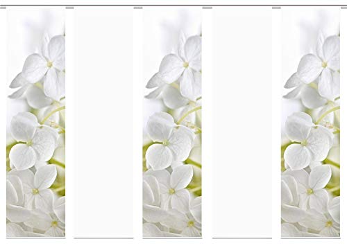 wohnfuehlidee 5er-Set Flächenvorhang, Deko Blickdicht, Padua, Höhe 245 cm, 3X Dessin /2X Uni transparent wohnfuehlidee 5er-Set Flächenvorhang, Deko Blickdicht, Padua, Höhe 245 cm, 3X Dessin /2X Uni transparent von wohnfuehlidee