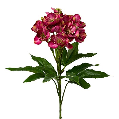 wohnfuehlidee Kunstblume Christrose, Farbe pink, Höhe ca. 60 cm von wohnfuehlidee