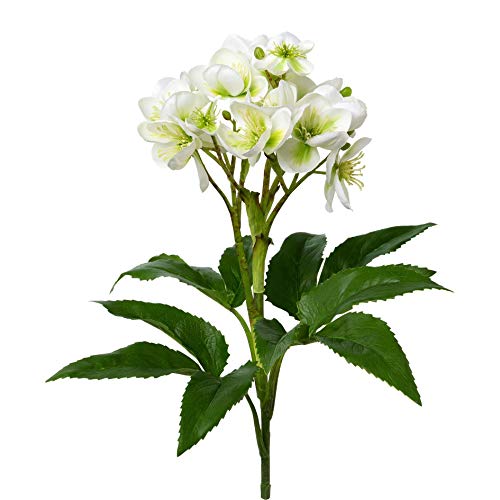 wohnfuehlidee Kunstblume Christrose, Farbe weiß, Höhe ca. 60 cm von wohnfuehlidee
