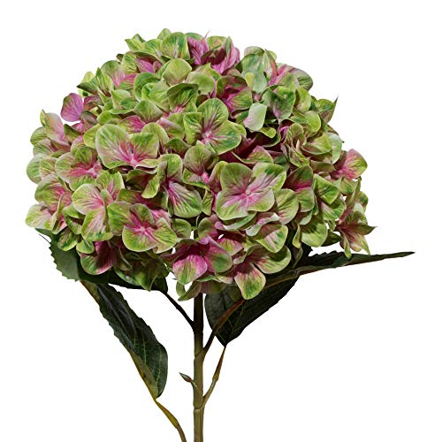 wohnfuehlidee Kunstblume Hortensie XXL 3D-Print, Farbe grün-rosa, Höhe ca. 111 cm von wohnfuehlidee