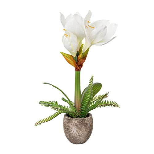 wohnfuehlidee Kunstpflanze Amaryllis, Farbe weiß, inkl. Zement-Topf, Höhe ca. 35 cm von wohnfuehlidee