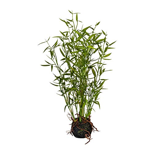 wohnfuehlidee Kunstpflanze Bambus Miniblatt, grün, im Moosballen, Höhe ca. 42 cm von wohnfuehlidee