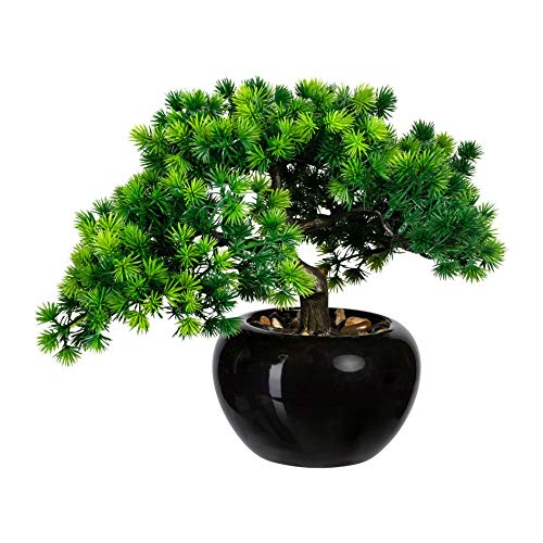 wohnfuehlidee Kunstpflanze Bonsai Lärche, mit Keramik-Topf, Höhe ca. 26 cm von wohnfuehlidee