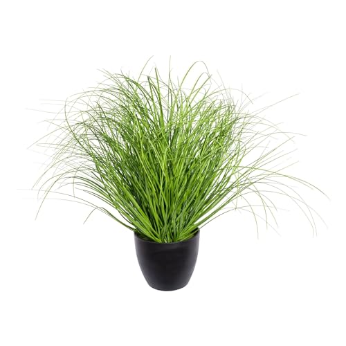 wohnfuehlidee Kunstpflanze Grasbusch - Farbe: grün - Gesamthöhe: ca. 50 cm - Inklusive Kunststofftopf, 14x12,5 cm von wohnfuehlidee