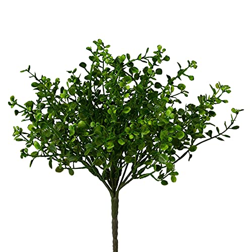 wohnfuehlidee Kunstpflanze Mühlenbeckia-Busch, 3er Set, grün, Höhe ca. 28 cm von wohnfuehlidee
