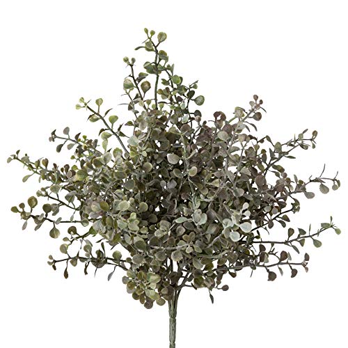 wohnfuehlidee Kunstpflanze Muschelblattbusch, 3er Set, Farbe grau-grün, Höhe ca. 33 cm von wohnfuehlidee