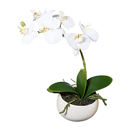 wohnfuehlidee Kunstpflanze Orchidee Phalenopsis, weiß, mit Deko-Keramik-Schale, Kunstblume Höhe 23 cm, Künstliche Orchidee im Topf von wohnfuehlidee