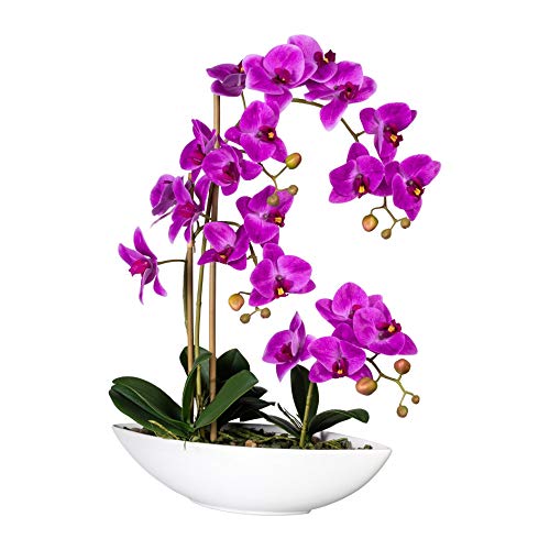 wohnfuehlidee Kunstpflanze Phalenopsis (Orchidee), Farbe lila, inkl. Keramik-Schale, Höhe ca. 60 cm von wohnfuehlidee