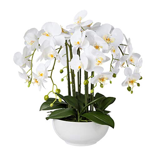 wohnfuehlidee Kunstpflanze Phalenopsis (Orchidee), Farbe weiß, inkl. Keramikschale, Höhe ca. 54 cm von wohnfuehlidee