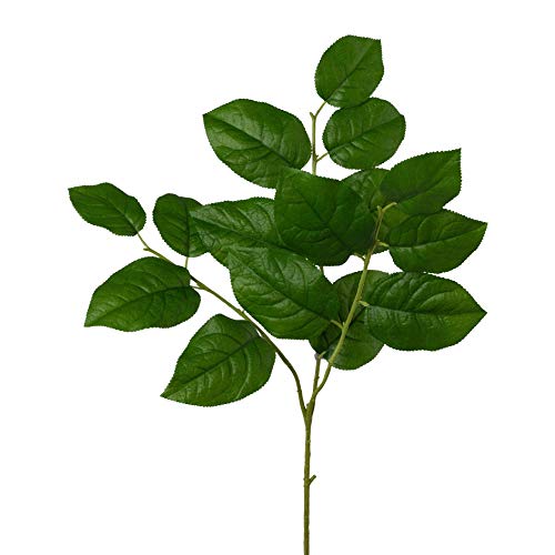 wohnfuehlidee Kunstpflanze Salalzweig, 4er Set, Farbe grün, Höhe ca. 80 cm von wohnfuehlidee