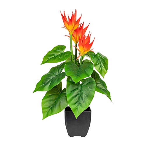 wohnfuehlidee Kunstplanze Guzmania, Farbe orange, inkl. Kunststofftopf, Höhe ca. 58 cm von wohnfuehlidee