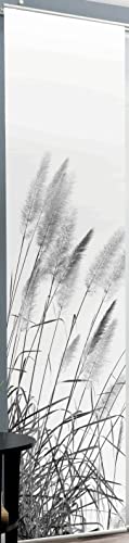 wohnfuehlidee Schiebevorhang Deko Blickdicht Cathleen, Farbe grau, Größe BxH 60x245 cm von wohnfuehlidee