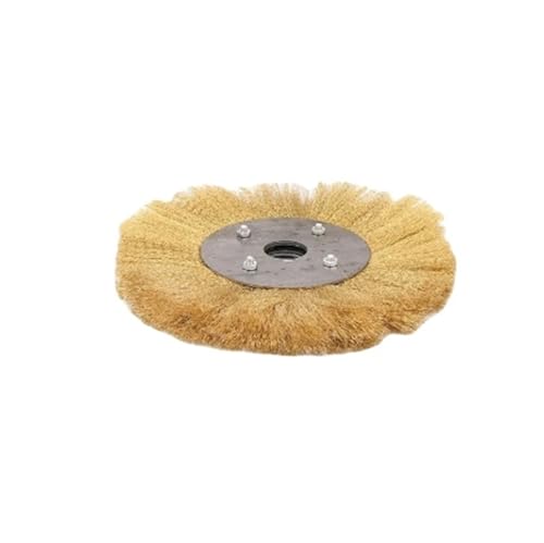 woleyuu 100/125/150/200/250 mm Drahtradbürste, flach, for Doppelschleifer, Polier- und Schleifwerkzeug for Entrosten von Metall und Holz(250x25mm) von woleyuu