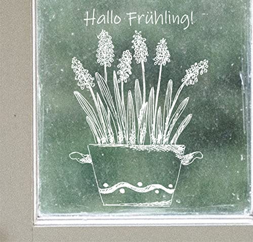 wolga-kreativ Fenstersticker Fensterbilder Selbsthaftend statisch Hallo Frühling weiß Blumen Fenster Küche wiederverwendbar Sichtschutz Küchenfenster von wolga-kreativ