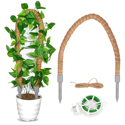 Woonyee Moosstab, Moosstab für Monstera, Rankhilfe Monstera, Biegsame Doppelkopfstütze Grauer PVC-Kopf, Geeignet für Diy, Indoor und Outdoor Pflanzenkletterhilfe und Raumdekoration von woonyee
