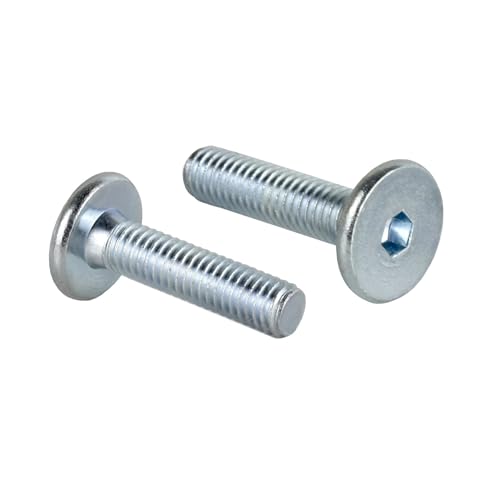 Zylinderkopfschrauben M6 x 25 mm mit Innensechskant Flachkopfschrauben Möbelschrauben/Möbelverbinder (50 Stück) von woplus
