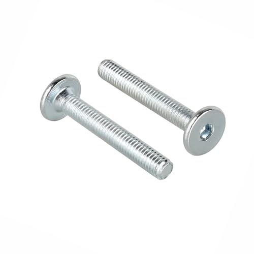 Zylinderkopfschrauben M6 x 40 mm mit Innensechskant Flachkopfschrauben Möbelschrauben/Möbelverbinder (100 Stück) von woplus