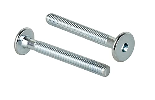 Zylinderkopfschrauben M6 x 55 mm mit Innensechskant Flachkopfschrauben Möbelschrauben/Möbelverbinder (100 Stück) von woplus