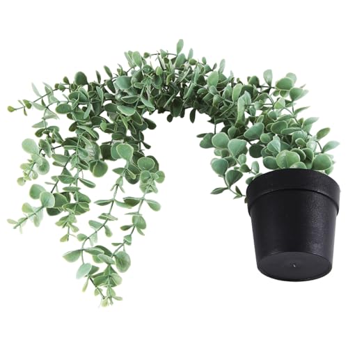 worien 1 StüCk KüNstliche HäNgende Pflanzen GefäLschte Eukalyptus HäNgende Pflanze im Topf für Wand, Heim, Terrasse, Innen- und AußEnbereich, Dekoration worien 1 StüCk KüNstliche HäNgende Pflanzen GefäLschte Eukalyptus HäNgende Pflanze im Topf für Wand, Heim, Terrasse, Innen- und AußEnbereich, Dekoration von worien