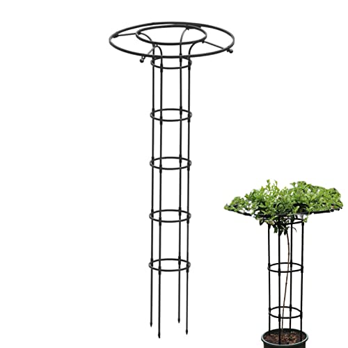 woyufen Rankhilfe Obelisk aus Eingebautes Stahlrohr mit Kunststoffbeschichtung, 180cm, Ranksäule witterungsbeständig freistehend f. Kletterpflanzen u. Rosen von woyufen