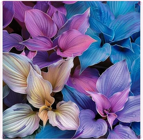 Winterhart zwiebeln, Pflanzen Funken Hosta Winterhartes MehrjäHrig, Hosta Knollen,Winterharte pflanzen-6 Rhizom-F von wptung