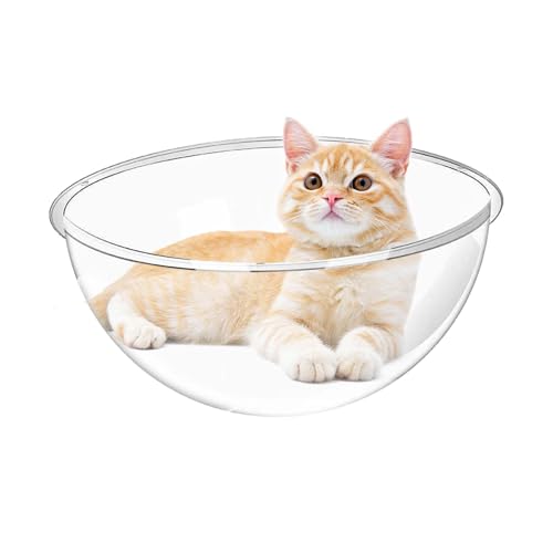 Katzenbett in Acrylkuppel - Transparentes Haus modernes Design | Langlebig bequemes Schlafen für Katzen und Kätzchen | Nischenkatzen Katzen - Dekorative Innenmöbel von wqibq