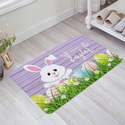 Haustürmatte Lila Osterhasen-Ostereier Rustikal Rustikale Grünpflanze Aus Holz Bodenmatte Personalisiert Carpet Antibakterielle Fussmatte Für Haushalt Flur Hintertür 40X60cm von wuhanshiruikewanshangmaoyouxiangongsi