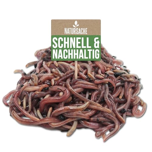 KOMPOSTWÜRMER kaufen - 1500 Stück/Eimer - Kompoststarter Regenwurm Set - Gartenwürmer/Regenwürmer Eisenia-Mix lebend - aktive Würmer für Kompost, Komposter, Wurmkomposter, Wurmkiste und Wurmfarm von Natursache