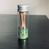 Eichhörnchen Oberschenkelknochen Glas | Mini Terrarium Kollektion Natürliche Färbung Kuriositäten Zauberglas Präpariert Curio Eichhörnchen Oberschenkelknochen Glas | Mini Terrarium Kollektion Natürliche Färbung Kuriositäten Zauberglas Präpariert Curio von xLunarAshesx