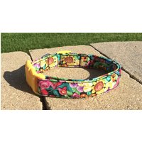 Gebeine Illustrator Stoff Hundehalsband Größe Xs, S, M Oder L von xfauxpawsx