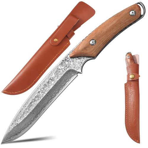 xiaotianlai TXL Damast Jagdmesser Damaszener Häutungsmesser Damaskus Klinge Bushcraft Camping Survival Messer mit Gürtelschlaufe xiaotianlai TXL Damast Jagdmesser Damaszener Häutungsmesser Damaskus Klinge Bushcraft Camping Survival Messer mit Gürtelschlaufe von xiaotianlai