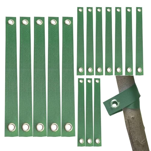 Baumstützgurte zum Abstecken und Stützen, ideal für neu gepflanzte Setzlinge, Hurrikanschutz, 40 cm, 15 Stück von xitoio