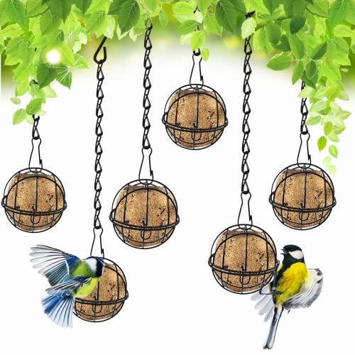 xlwen Meisenknödelhalter zum Aufhängen 6 Pcs Futterspender für Garten Wildvögel Hängend Meisenknödel Halter für Garten Wildvögel Finken Spatzen(Schwarz) von xlwen