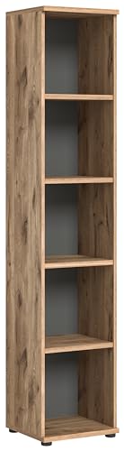 xonox.home Büro Mason X12B8510 Regal Stauraum 5 offene Fächer in Nox Oak Nb. Absetzungen Basalt grau Nb., ca. 40x199x37 cm von xonox.home