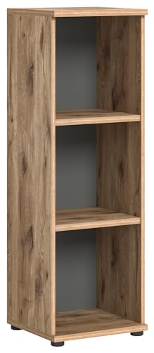 xonox.home Büro Mason X12B8520 Regal Stauraum 3 offene Fächer in Nox Oak Nb. Absetzungen Basalt grau Nb., ca. 40x122x37 cm von xonox.home