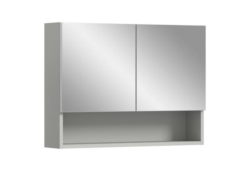 xonox.home Spiegelschrank Hellgrau Nachbildung / Spiegelfront Siphonausschnitt 74x55x17 cm von xonox.home