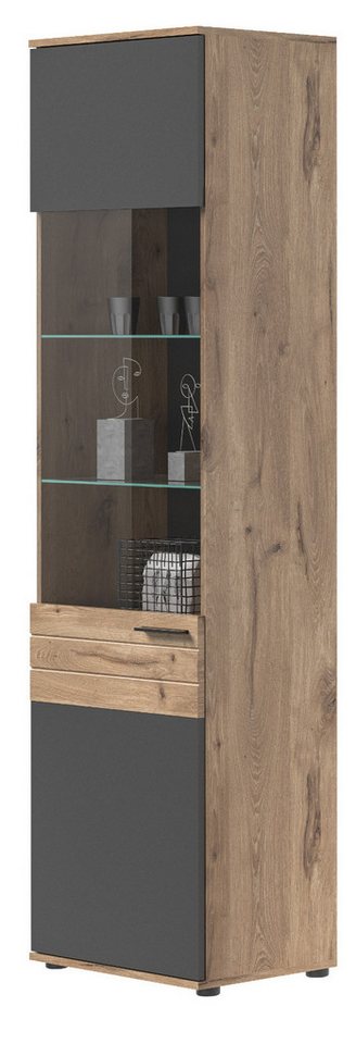 Stauraumvitrine Mason (Vitrine in Eiche mit Basalt grau, BxH 57 x 200 cm) mit Soft-Close von xonox.home