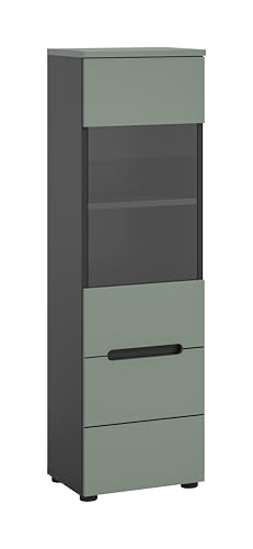xonox.home - Vitrine Canu 36x125x33 cm in Korpus Basalt grau Nb. und Front Smoke Green Nb. - Glasvitrine Dekoschrank Glas-Kommode Stauraumschrank - modern & platzsparend von xonox.home