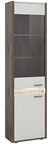 xonox.home Wohnen Falcona Vitrine Glas Schrank Front hellgrau Nb. Korpus Nox Oak dunkel Nb.ca.51x198x37cm inkl. Frontbeleuchtung von xonox.home