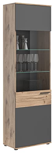 xonox.home X12B8T10 Mason Vitrine Holzwerkstoff Glas Grau, Glasvitrine, Vitrinenschrank 57 x 200 x 37 xonox.home X12B8T10 Mason Vitrine Holzwerkstoff Glas Grau, Glasvitrine, Vitrinenschrank 57 x 200 x 37 von xonox.home