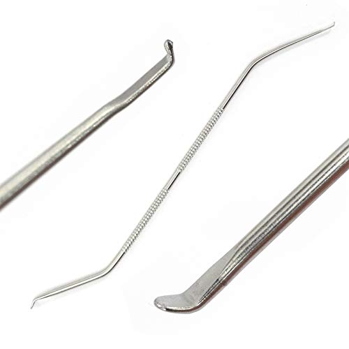 xtradefactory Imker Doppelkopf PFROPF Werkzeug | 19 cm, Edelstahl | Imkerei Pfropfen, Umlarvnadel, Bienenköniginnen Zucht, Bienennadel, Doppelkopf Nadel von xtradefactory